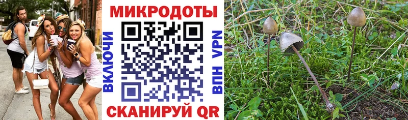 Купить  Уссурийск  Галлюциногенные грибы Magic Shrooms 